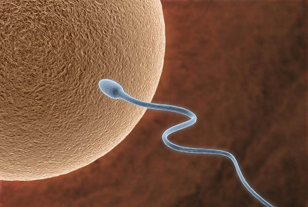 Cientistas desenvolvem anticoncepcional masculino