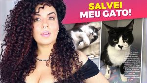 gato doença sem cura